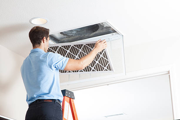 Best HVAC air duct cleaning  in Luverne, MN